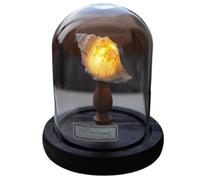 Juqoyue Mini Lampada LED DIY con Luce Notturna, Luce Soffusa, Sfarfallio, Lampada da Comodino, Novità, Decorazione per La Casa, Ottima Idea Regalo. Stile: A