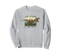 Jurassic PARC Merch Come sopravvivere all'incontro con T-Rex Felpa