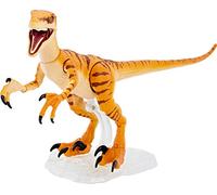 Jurassic World Amber Collection Tiger Velociraptor - Action figure di dinosauro da 15,2 cm, dettagli autentici del film, articolazioni mobili e espositore per figure, regalo da collezione dagli 8 anni