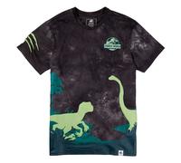 Jurassic World by Loungefly Tee T-Shirt Unisex Dinos Size M