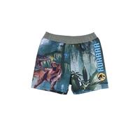 Jurassic World Costume da Bagno per Ragazzi, Pantaloncini da Bagno Bermuda con Design Dinosauro, Costume da Bagno per Bambino, Taglia 8 Anni | Verde