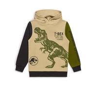 Jurassic World Felpa con cappuccio ufficiale T-Rex con dinosauro, 100% cotone, abbigliamento per bambini dai 4 ai 5 ai 9 - 10 anni, cachi, 8-9 Years