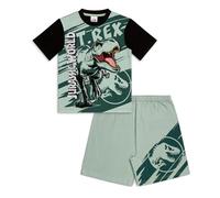 Jurassic World Pigiama da bambino | T-shirt in cotone con stampa T-Rex e pantaloncini elasticizzati in vita | Pigiama dinosauro, Verde, 11-12 Years