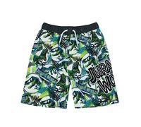 Jurassic World Swim Shorts T Rex Dinosaur Boys Elastic Welband Trunks 5-6 Anni