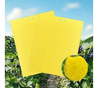 JurciCat 40 Trappole Appiccicose Per Insetti 20cmx15cm Adesivi Gialli Moscerini
