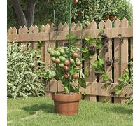 Juroupi Supporti Piante da Giardino con 3 Anelli 5pz Verde 60cm Acciaio,Supporti e Gabbie per Piante,Supporti Piante da Giardino,Sostegni per Piante-319373