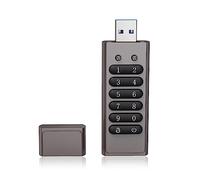 Juroupi Unità USB Crittografata da 64 GB a 256 Bit Unità Flash con Password USB 3.0 Supporto Disco U Funzione di Ripristino/cancellazione/blocco Automatico, Grigio (128 GB)