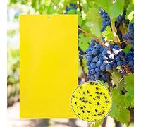 Jusduit - Set di 30 trappole adesive per insetti con trappole gialle per chiocciole, adesivi double face per mosche bianche, foglie di montagna, trigipsee, afoglie e altri insetti