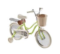 JUSKAQZYI bici per bambini Bici for bambini con doppio freno a mano, for bambini dai 3 ai 12 anni, da 12 a 22 pollici, con cestino intrecciato e ruote ausiliarie. monopattini(Green1,20inch)