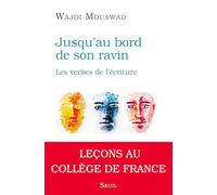 Jusqu'au bord de son ravin: Les verbes de l'écriture
