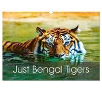 Just Bengal Tigers (Wall Calendar 2026 DIN A3 landscape), CALVENDO 12 Month Wall Calendar: Magical Bengal Tigers Both Yellow and White with Stripes