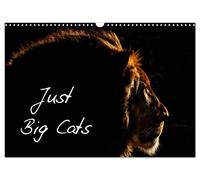 Just Big Cats (Wall Calendar 2027 DIN A3 landscape), CALVENDO 12 Month Wall Cale