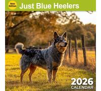 Just Blue Heelers Calendar 2026: Twelve months of hardworking dogs in action