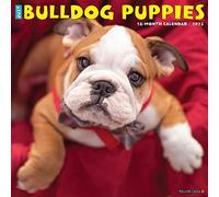 Just Bulldog Puppies 2023 Wall Calendar