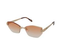 Just Cavalli SJC202 300Y