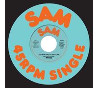 Rhyze Just How Sweet Is Your Love/I Found Love in You (Vinyl LP) 7" Single