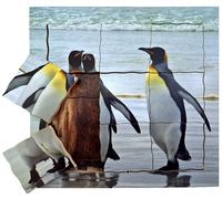 Just Jigsaws Puzzle stratificato in legno Pinguino e il suo ciclo di vita 19 pezzi