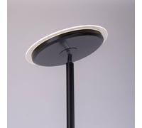 Just Light Hans lampada da terra 2x22 W nero 11709-18
