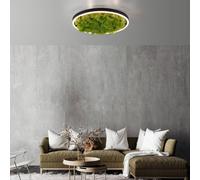 JUST LIGHT. GmbH Plafoniera LED Verde Ritus, muschio dimmerabile Ø39,3cm JUST LIGHT. GmbH