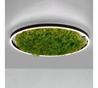 Paul Neuhaus Green Ritus lampada a soffitto, LED, 15392-66, Green Ritus; Green [Lampade per Interni > Lampade a Soffitto]