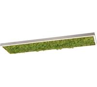 Just Light Green Knut plafoniera 1x25 W verde 15623-66