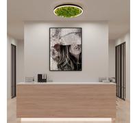 Just Light Green Ritus lampada a soffitto LED, 15391-66, Gerda Ritus; Gerda Green [Lampade per Interni > Lampade a Soffitto]