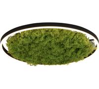 Just Light Green Ritus plafoniera 1x28 W verde 15392-66