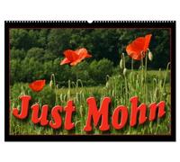 Just Mohn (Wandkalender 2026 DIN A2 quer), CALVENDO Monatskalender: Der Klatschmohn (Papaver rhoeas), auch Klatschrose, Wilder Mohn, Feuermohn oder ... oft schon nach einem Tag wieder verblüht.