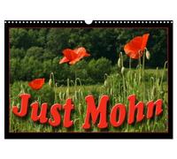 Just Mohn (Wandkalender 2026 DIN A3 quer), CALVENDO Monatskalender: Der Klatschmohn (Papaver rhoeas), auch Klatschrose, Wilder Mohn, Feuermohn oder ... oft schon nach einem Tag wieder verblüht.