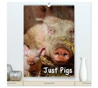Just Pigs (High Quality Premium Wall Calendar 2026 DIN A2 portrait),CALVENDO 12 Month Wall Calendar: Images of Pigs and Piglets