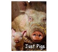 Just Pigs (Wall Calendar 2026 DIN A3 portrait), CALVENDO 12 Month Wall Calendar: Images of Pigs and Piglets