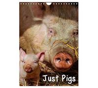 Just Pigs (Wall Calendar 2026 DIN A4 portrait), CALVENDO 12 Month Wall Calendar: Images of Pigs and Piglets