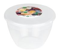 Just Pudding Basins Limited - Ciotole con coperchio, Contenitori Ermetici per Alimenti, Confezione da 6, Trasparente, 1 Pinta, 570 ml
