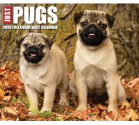 Just Pugs 2026 Box Calendar