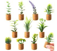 JUSTDOLIFE Mini calamite da frigorifero piante grasse con vaso carino per lavagne magnetiche, frigorifero, casa, ufficio, decorazione