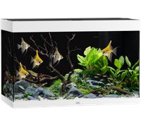 Juwel Acquario Rio 290 LED - Bianco