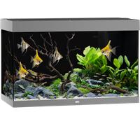 Juwel Acquario Rio 290 LED - Grigio