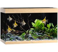 Juwel Acquario Rio 290 LED - Legno chiaro