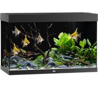 Juwel Acquario Rio 290 LED - Nero