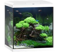 Juwel Acquario Vio Cube 54, Bianco - 1 pz.
