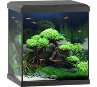 Juwel Acquario Vio Cube 54, Nero - 1 pz.