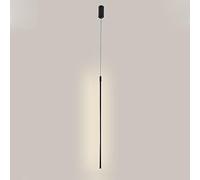 JWBXFYXW Camera da Letto Leggera a Sospensione Moderna LED LED Lima LIMAGGIO LAMPAGNO MINIMALISTRISTA LUMI di Sospensione Metallo in in INDIPA