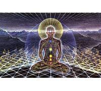 JWJQTLD Stampa su Tela Trippy Alex Grey Abstract Wall Art Canvas Painting Poster E Stampa di Immagini Soggiorno Decorazione Home Decor ， Regalo di Natale Regalo di Festa, 30X40Cm Senza Cornice