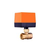 JWLINRKS Valvola DN15/DN20/DN25 Valvola a Sfera filettata elettrica motorizzata Ottone AC 220V 2 Vie 3 Fili 1.6Mpa con Attuatore for Acqua Gas Olio(12vdc,1 inch)