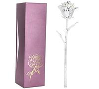 Jwthee Rosa immersa da 24k, vera gambo lungo artificiale rosa conservato fiore immerso con fiore di eternità romantica per le foglie decorazioni del festival del matrimonio (Argento)
