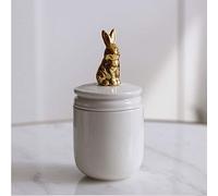 JYHAM Urne for Animali Domestici Urna for cremazione Urna for ceramiche Fatte a Mano Urna commemorativa for Coniglio Uccellini Cagnolini (Bianco White (Color : Rabbit)
