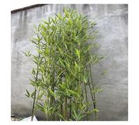 JYHHCYS Pannello Oscurante in bambù Artificiale, Separé da Esterno | Pianta Di Bambù Finto Alta 100 150 180 210 250 Cm, Si Monta In Pochi Minuti Senza Attrezzi, Per Portici Di Patio, Balcone