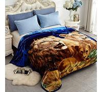 JYK Coperta in pile coreano in finto visone, 190,5 x 221 cm, 2,3 kg, double-face, 520 g/m², morbida e setosa, per autunno e inverno (regina, leone/delfino)
