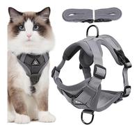 JYNVO Pettorina per gatti con guinzaglio, anti-fuga, pettorina regolabile per gatti con strisce riflettenti e rete traspirante per la sicurezza notturna, comoda per gatti, gattini, cuccioli (grigio-M)