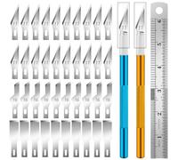 JYSNOW Cutter di Precisione, 2 Pezzi Taglierino con 40 Lame e 1 Righello, Bisturi Modellismo, Set di Coltelli Artigianali, per Lavoro Artistico Taglio, Scultura, Viola